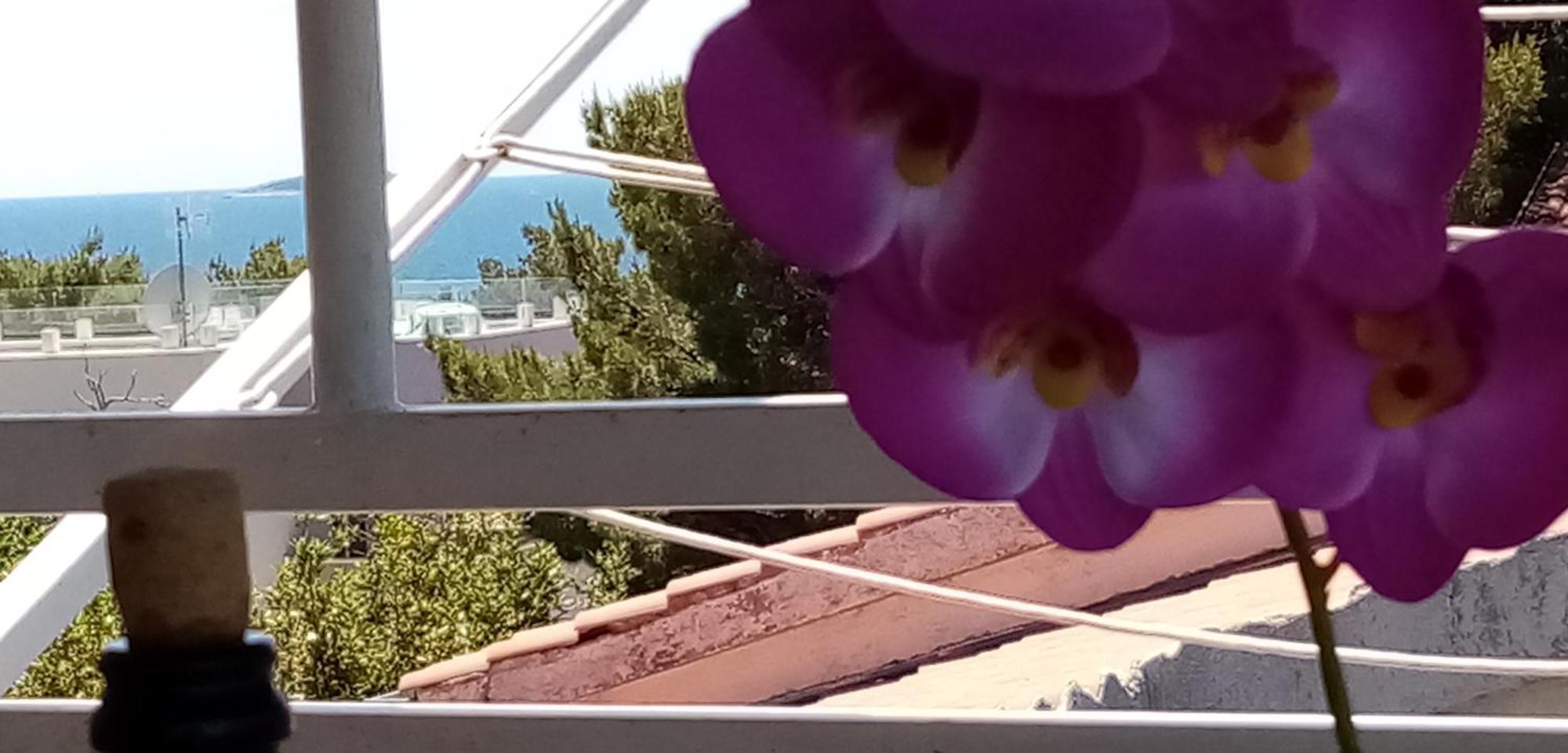 Apartments Bilo Near Primošten Cameră foto
